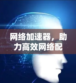网络加速器，助力高效网络配置的终极选择