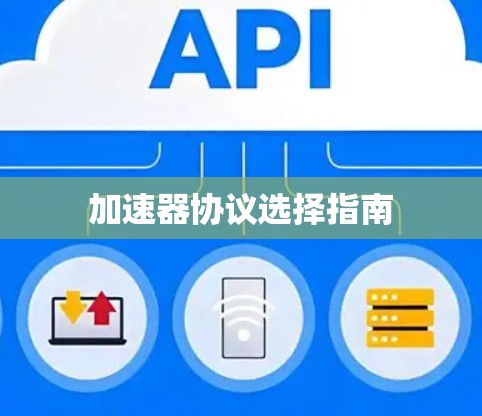 加速器协议选择指南