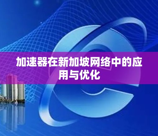 加速器在新加坡网络中的应用与优化