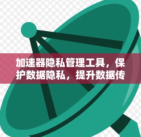加速器隐私管理工具，保护数据隐私，提升数据传输效率