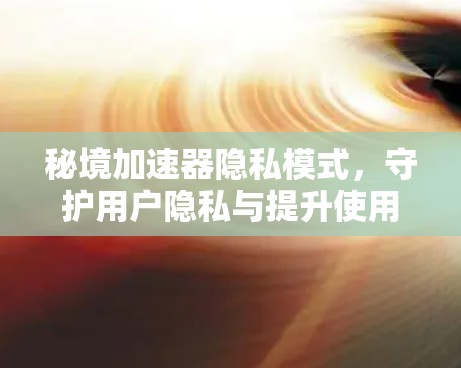 秘境加速器隐私模式，守护用户隐私与提升使用体验